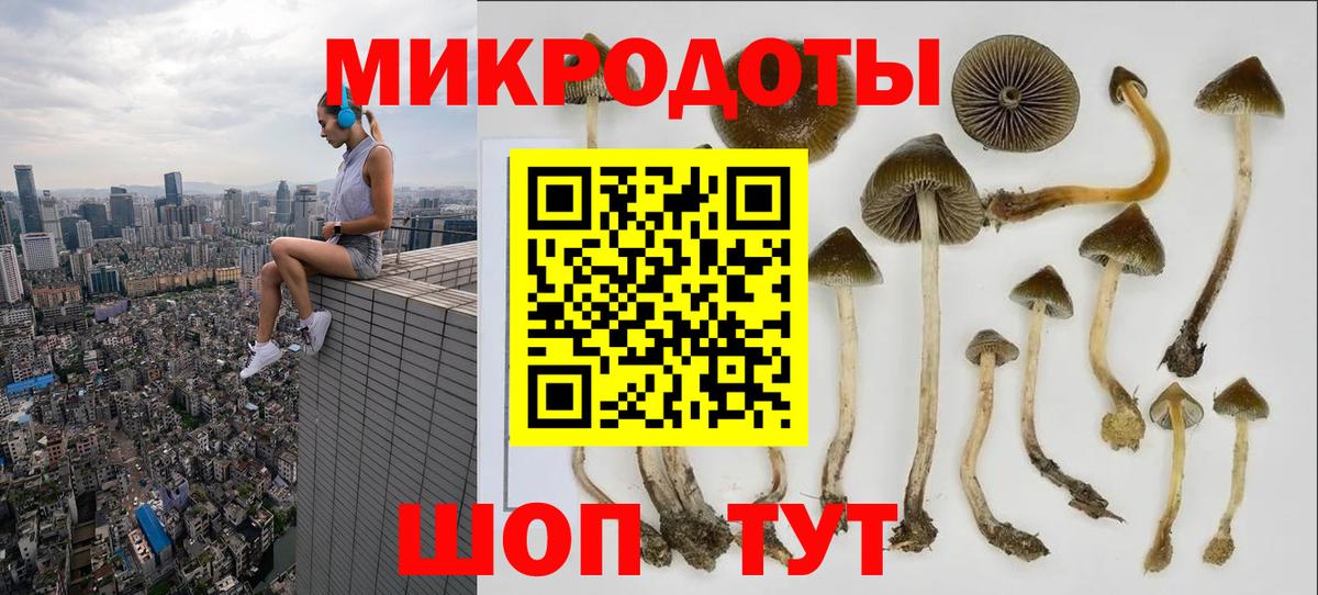 Галлюциногенные грибы ЛСД Краснознаменск