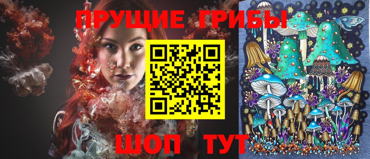 Краснознаменск  Галлюциногенные грибы Magic Shrooms  Псилоцибиновые грибы мухоморы  Вход с VPN 